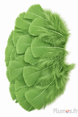 Pute - 6-8 cm - olive